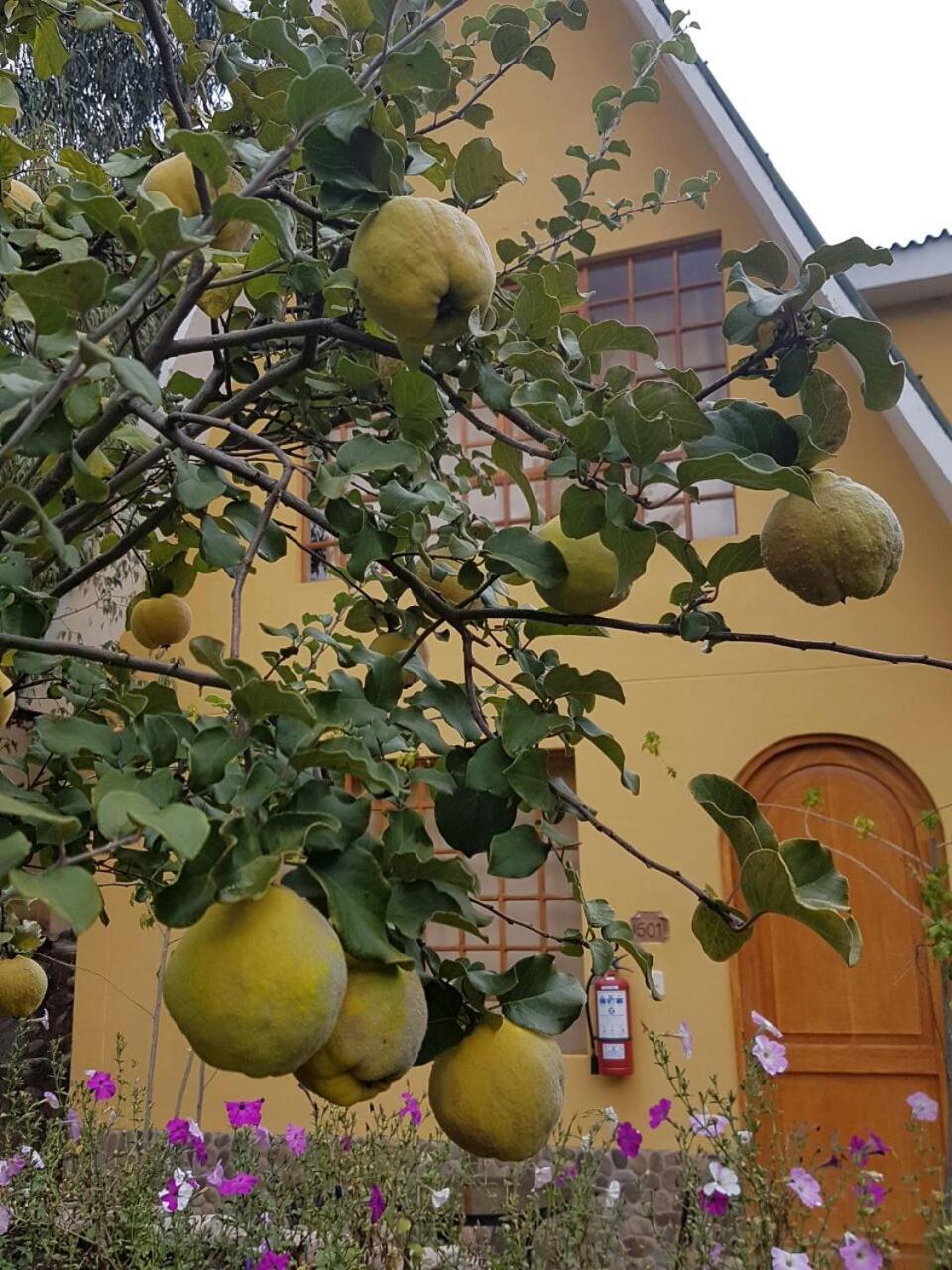 Amaru Valle Hotel Urubamba Zewnętrze zdjęcie